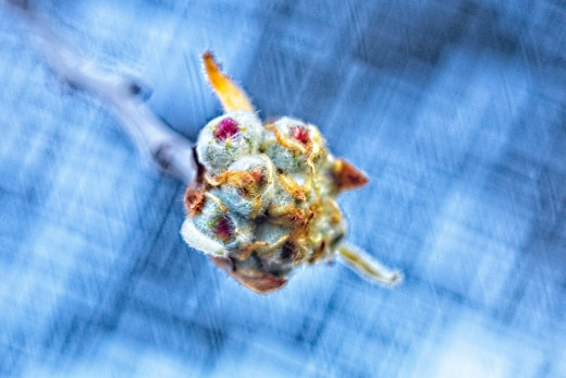 1756381 (a): :1920x1279